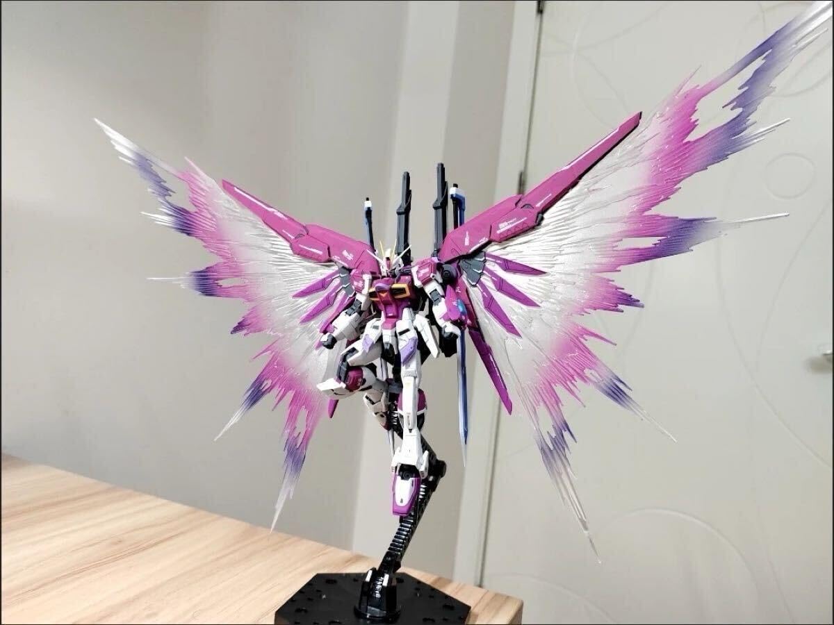 RG 1/144 デスティニー インパルス ガンダム & 光の翼 セット Amazon.co.jp: RG 1 144 ディスティニー &デスティニー