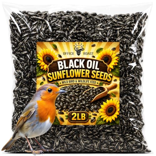 Office Roast Premium Black Sunflower Seeds | 2 LB Bulk Value Pack | Natural Wild Bird Seed for Backyard Feeders High-Energy Food for Songbirds