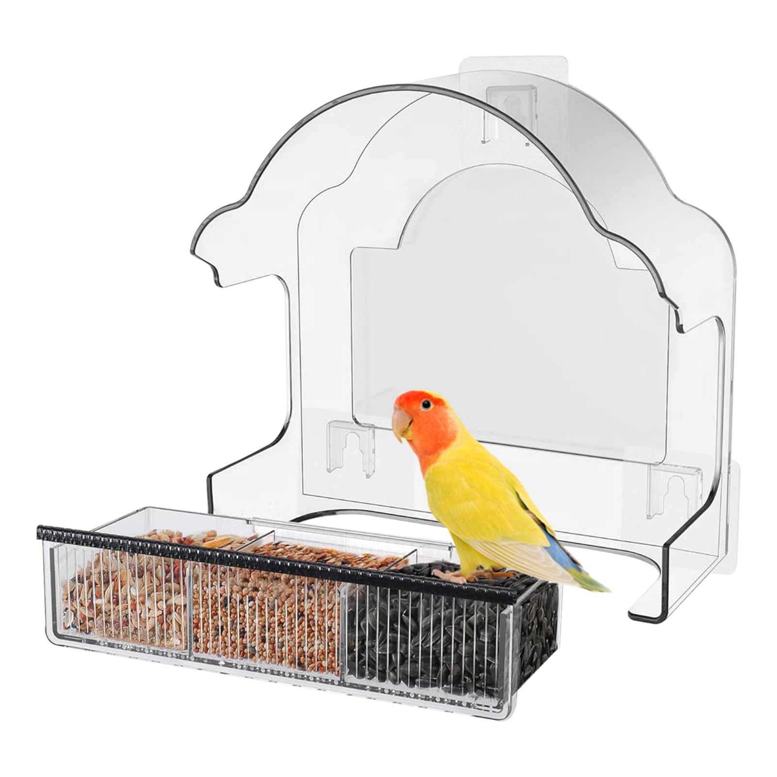 Mangeoire à oiseaux pour fenêtre acrylique résistante avec bac amovible