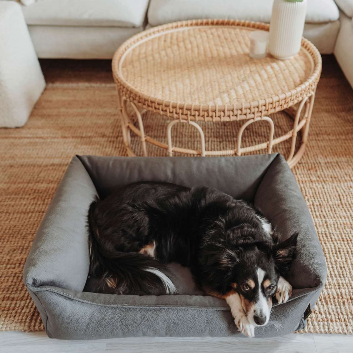 HUNTER Orthopädisches/Ergonomisches Hundekissen Merida mit Memoryschaum, Kann eine gelenk- und rückenschonende Haltung unterstützen; Rutschhemmende Unterseite, Farbe: anthrazit, Größe: L