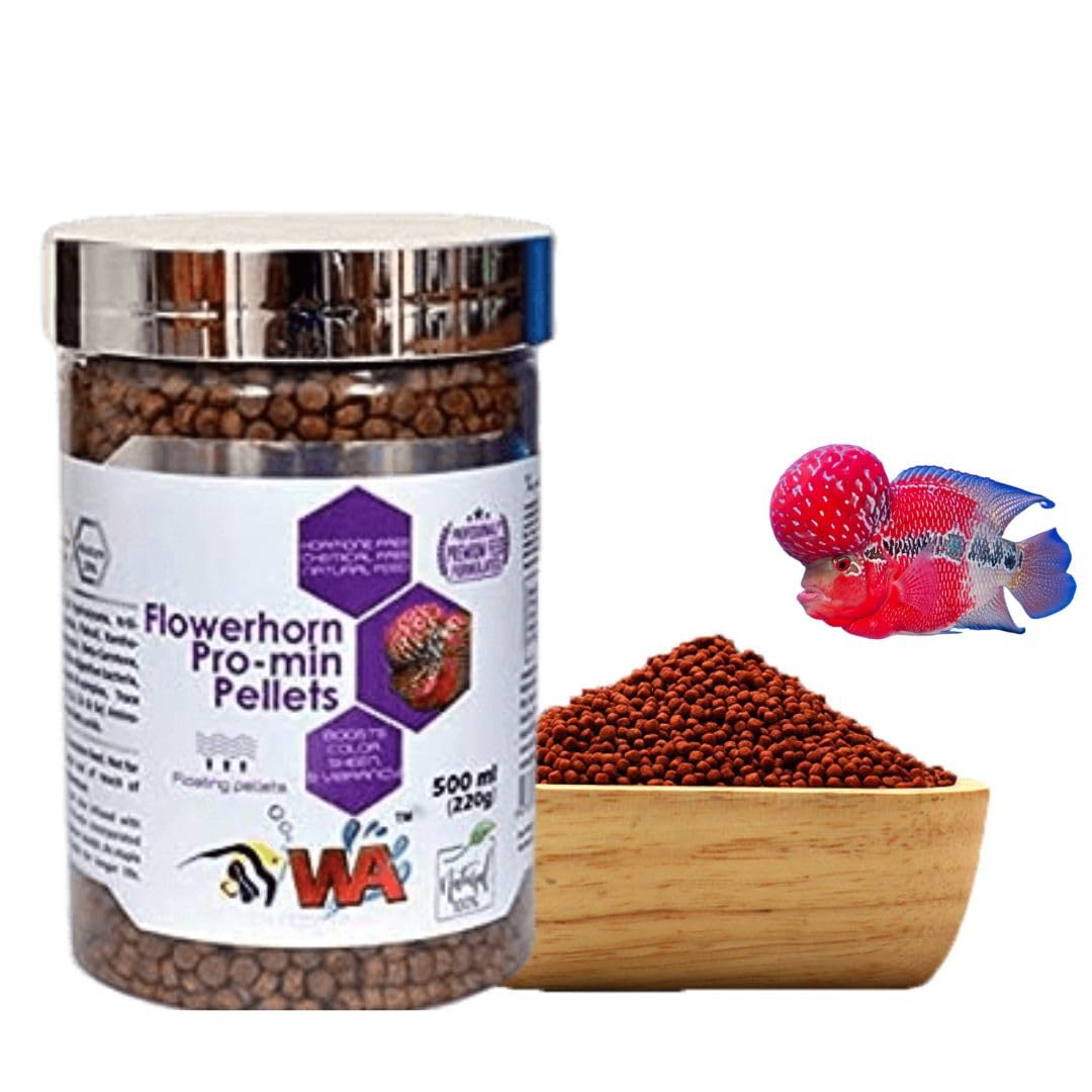 See full amazon price history chart for VAYINATO Wa Flowerhorn Pro-Min Pellets Fish Food,500Ml(220G)|Boosts Color Sheen&Vibrancy|Floating Pellets VAYINATO Wa Flowerhorn Pro-Min Pellets Fish Food,500Ml(220G)|Boosts Color Sheen&Vibrancy|Floating Pellets (B0BYJYKCH1) Amazon Price History, Amazon Price Tracker