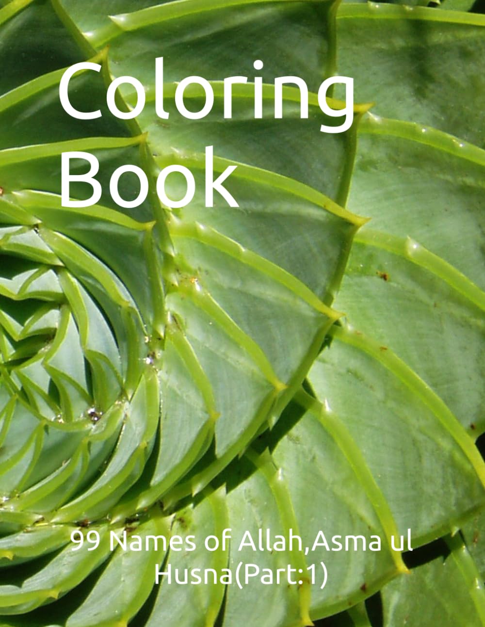 Coloring Book: 99 Names of Allah,Asma ul Husna