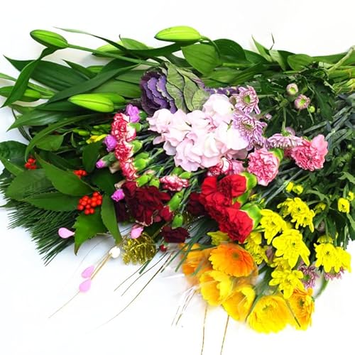 "Ԓ""10tI2026 }t ؉ԕ 30{/50{/100{ ͂122631܂ ܁iL[vt[jt؉  ƒp (100{)