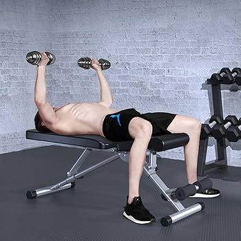 ベンチプレス・ダンベル Amazon | ベンチ トレーニング ベンチ トレーニングベンチ