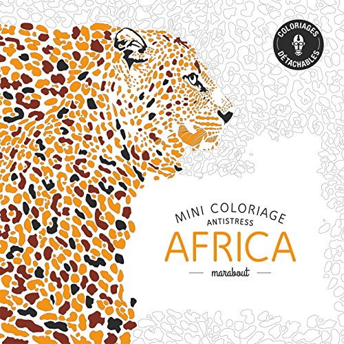Télécharger Mini coloriage antistress «Africa» Livre eBook France