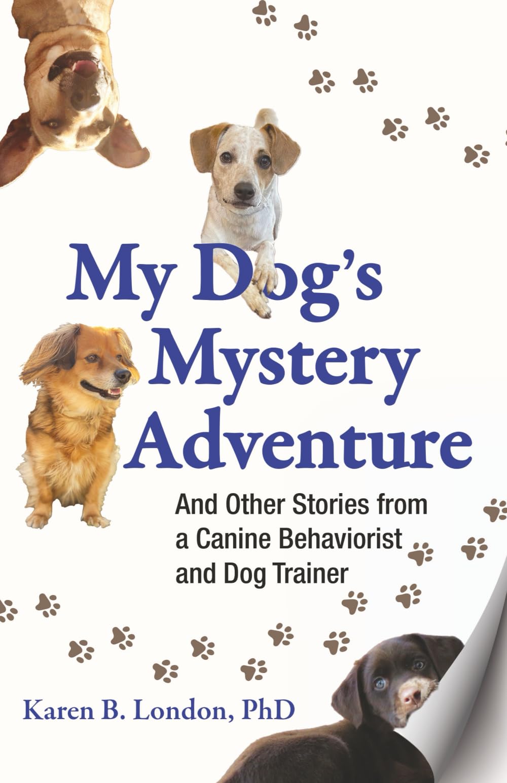 My Dog's Mystery Adventure: And Other Stories from a Canine Behaviorist and Dog Trainer