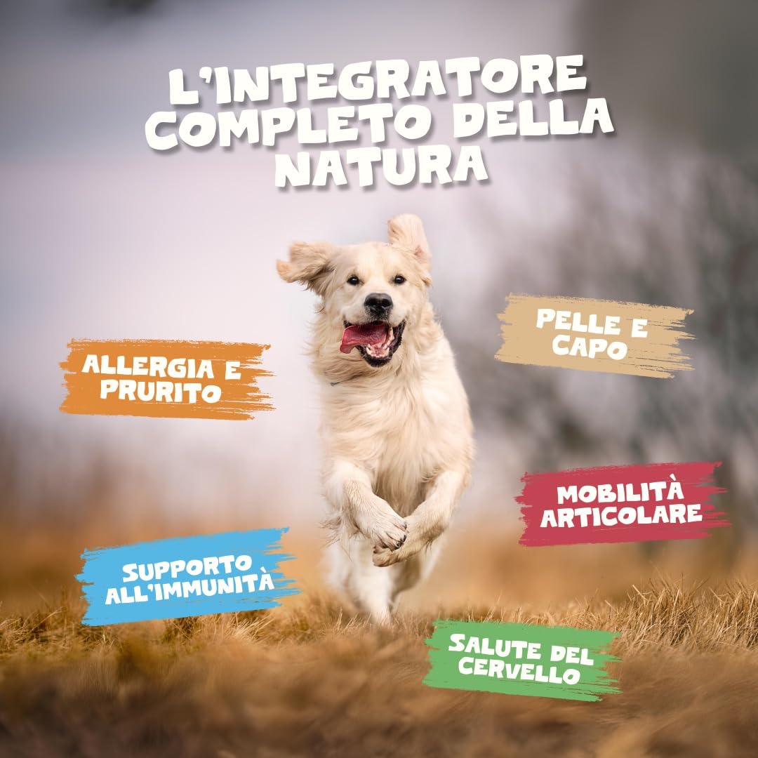Pet Purest Olio di Salmone Scozzese per Cani, Gatti, Animali Domestici 500ml - Puro Olio di Pesce Integratore Alimentare Omega 3 6 9 per Pelo, Sistema Immunitario, Prurito, Articolazioni, Cervello
