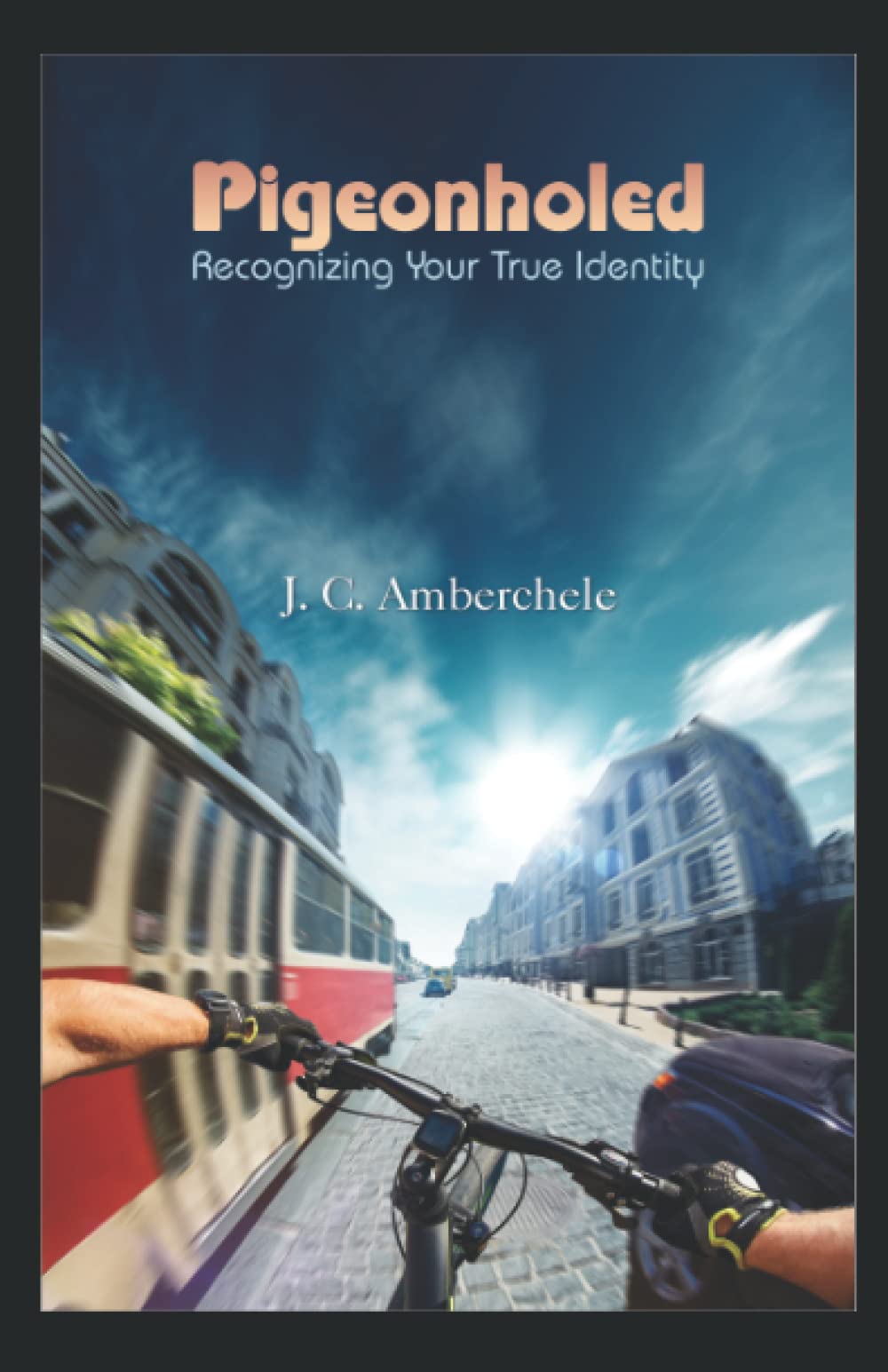 PIGEONHOLED: Recognizing Your True Identity