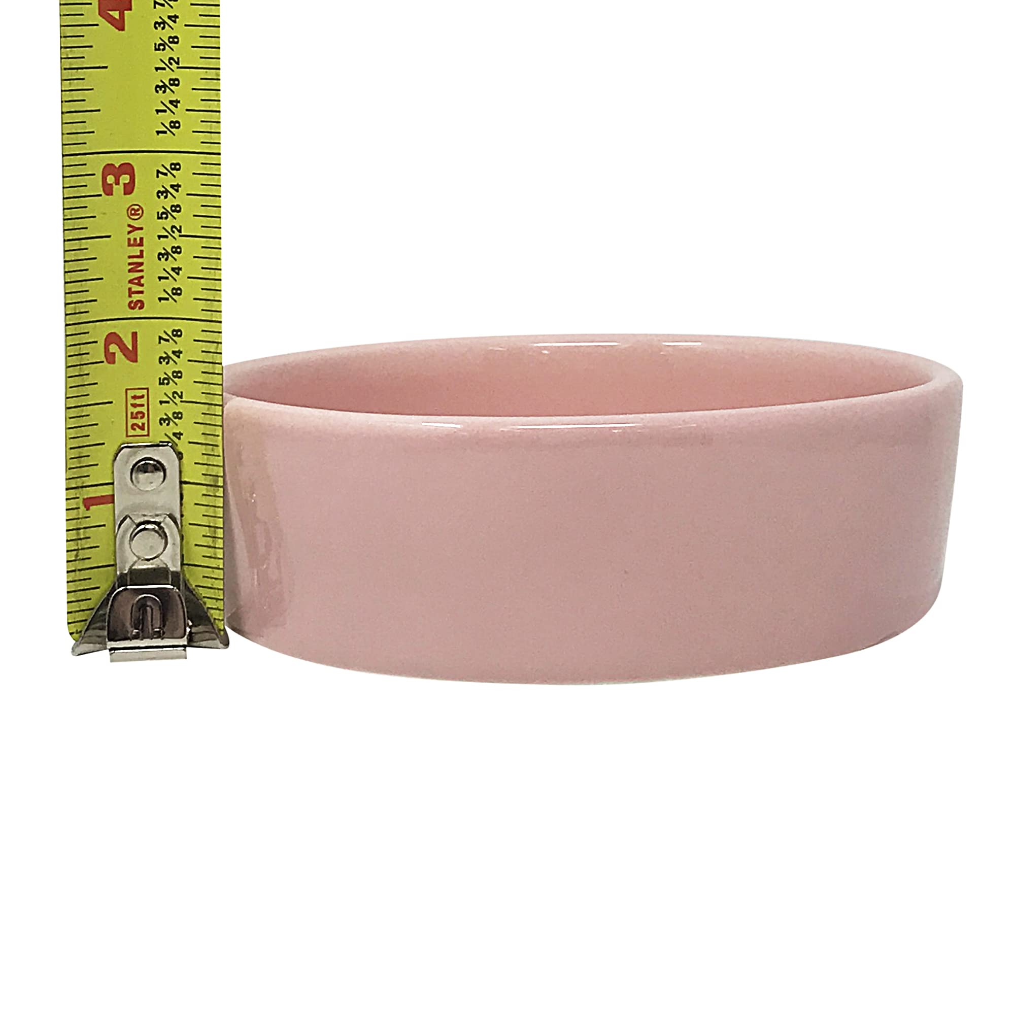 Rae Dunn Magenta Ceramic Cat Pet Bowl Gift Boxed Set of 2