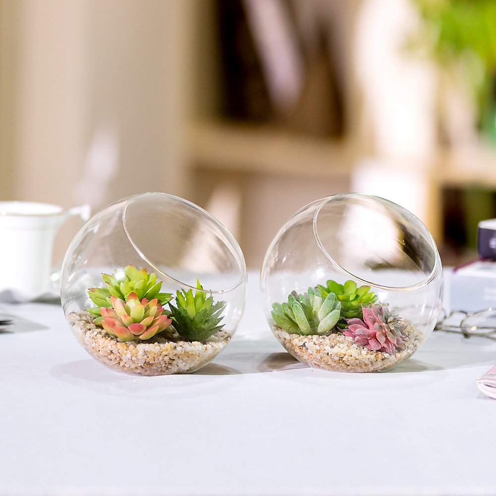 Mini 5.9 Inch Clear Glass Planter Terrarium, Air Plants Tabletop Display Globe, Succulents Holders or Candle Holders, Set of 2