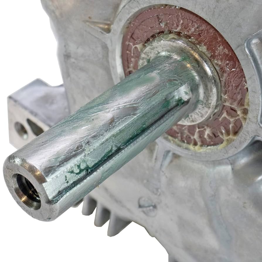 Amazon.com: 24hp Vertical 1