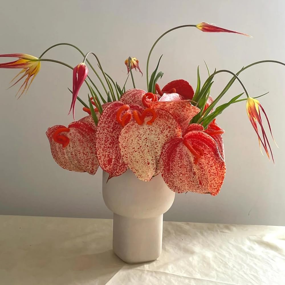 30 pcs Anthurium clarinervium samen - zimmerpflanzenfr Wohnzimmer, Bro  und Schlafzimmer flamingoblume, balkon dekoschattenpflanzen  pflanzensamenfensterbank deko garten geschenkeinfach : Amazon.de: Garten