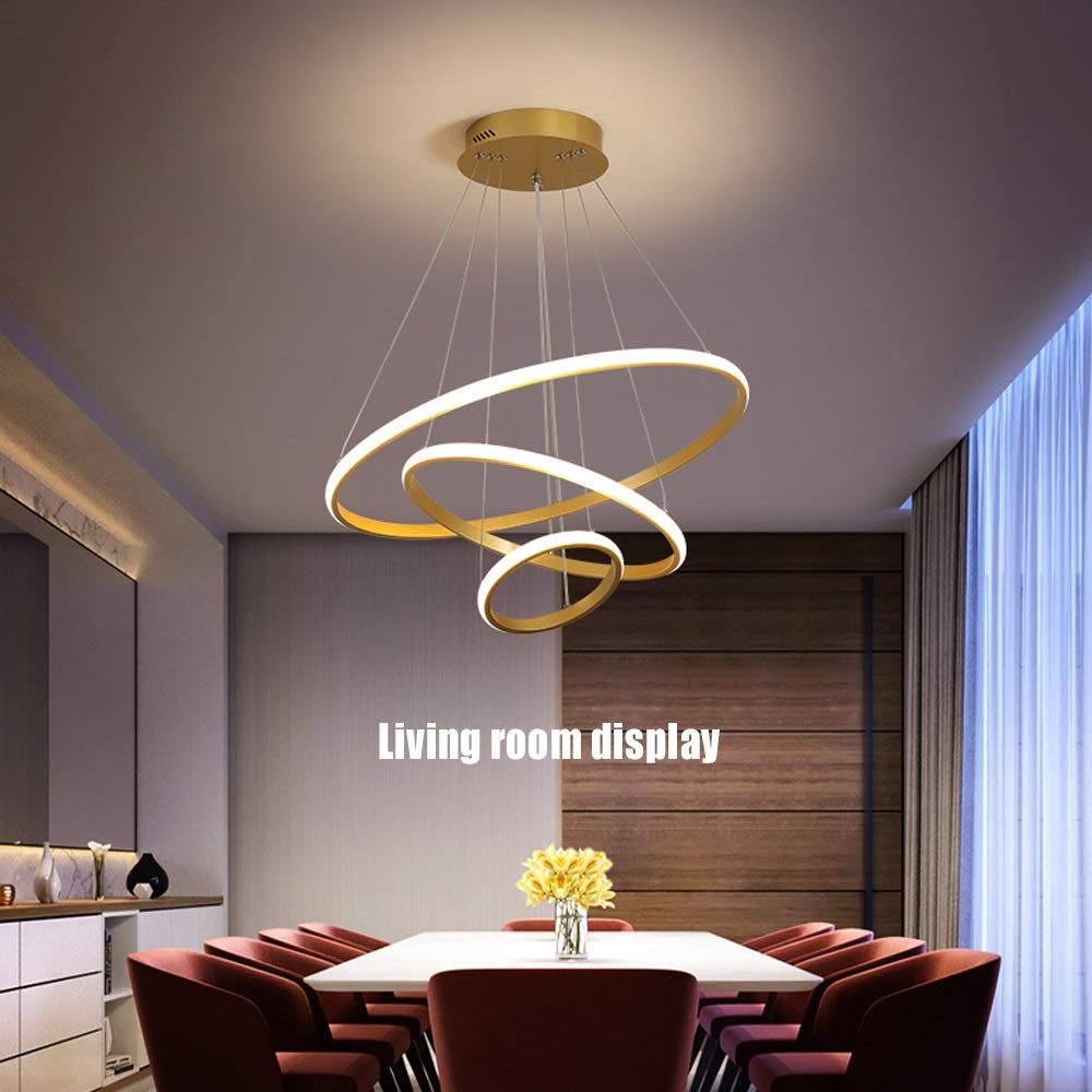 Lampadario Sospensione LED Lampada Soggiorno Lampadario Dimmerabile Con Telecomando Lampade Sospensione Moderne Tavolo Pranzo Soffitto Luminoso Acrilico Rotondo in Alluminio,D'oro,4laps40 60 80 100cm