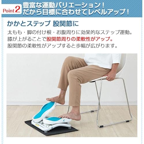 エアロライフ(AEROLIFE) ステッパー モーションナビ DR-3830 の商品画像 5