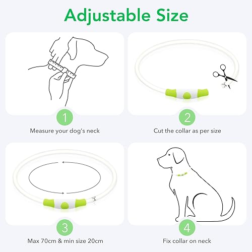 Miniatura 6 de Colaseeme Collar de perro con luz LED, 1 unidad, recargable por USB, TPU brillante, collares básicos de seguridad para perros grandes, medianos y