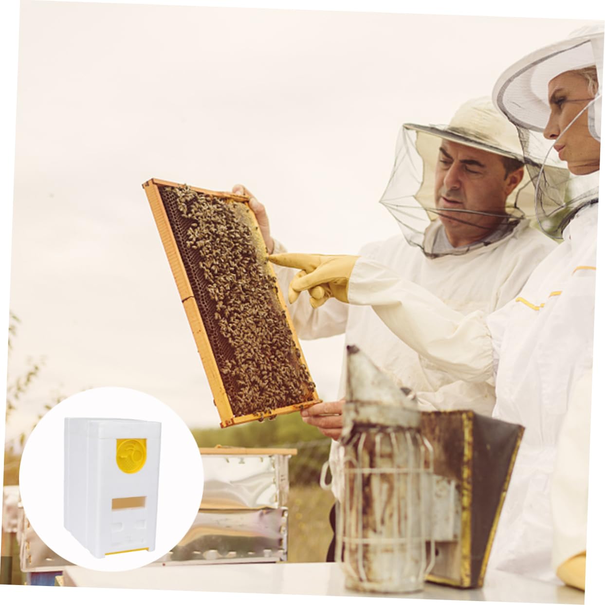 Caja de Almacenamiento para Abejas de Doble Caja de Mating de Abejas Accesorio de Apicultura Herramienta Práctica para Cuidadores de