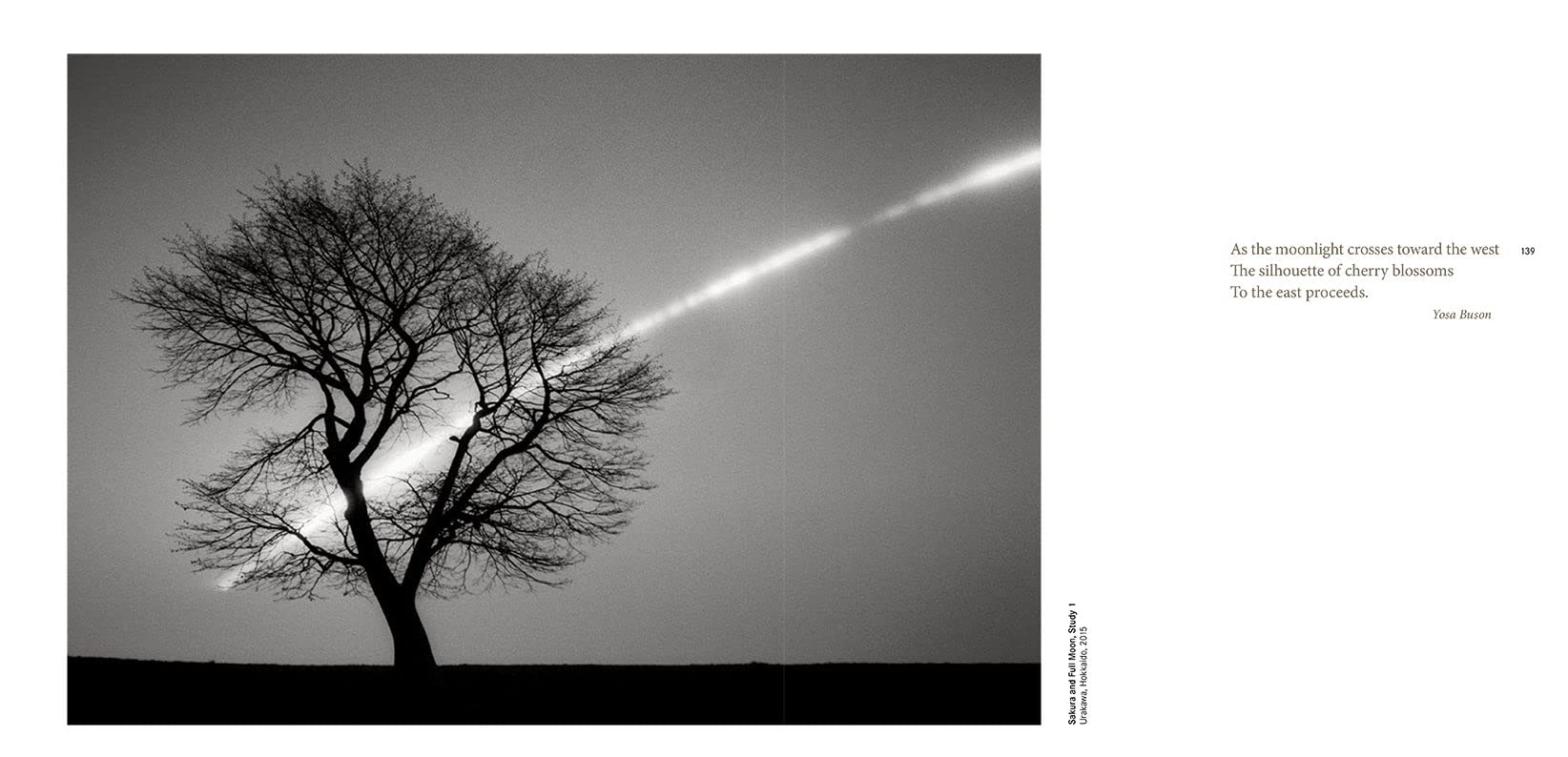 Forms of Japan: Michael Kenna (deutsche Ausgabe)