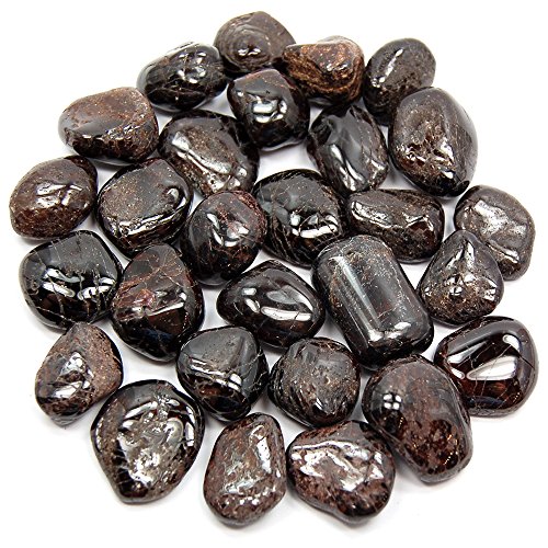Garnet Tumbled Stone - Healing Stone - Crystal Healing - 20-25mm (1)