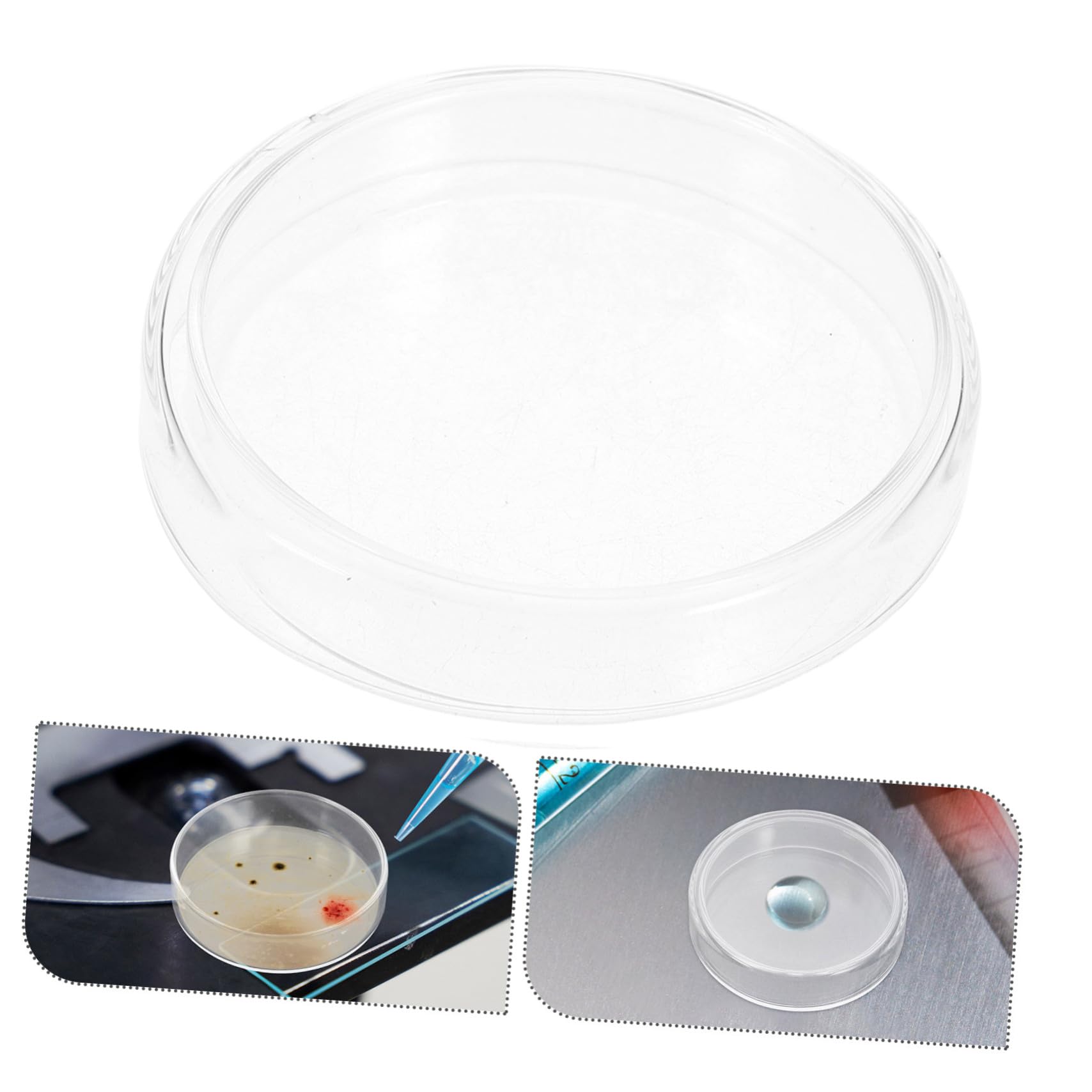 Alipis 10stücke Glas Petrischale mit Deckel für Labor Kulturschale Mikrobiologisches Werkzeug Sterile Platte Nährmedium Verwendung für Wissenschaft und Experimente