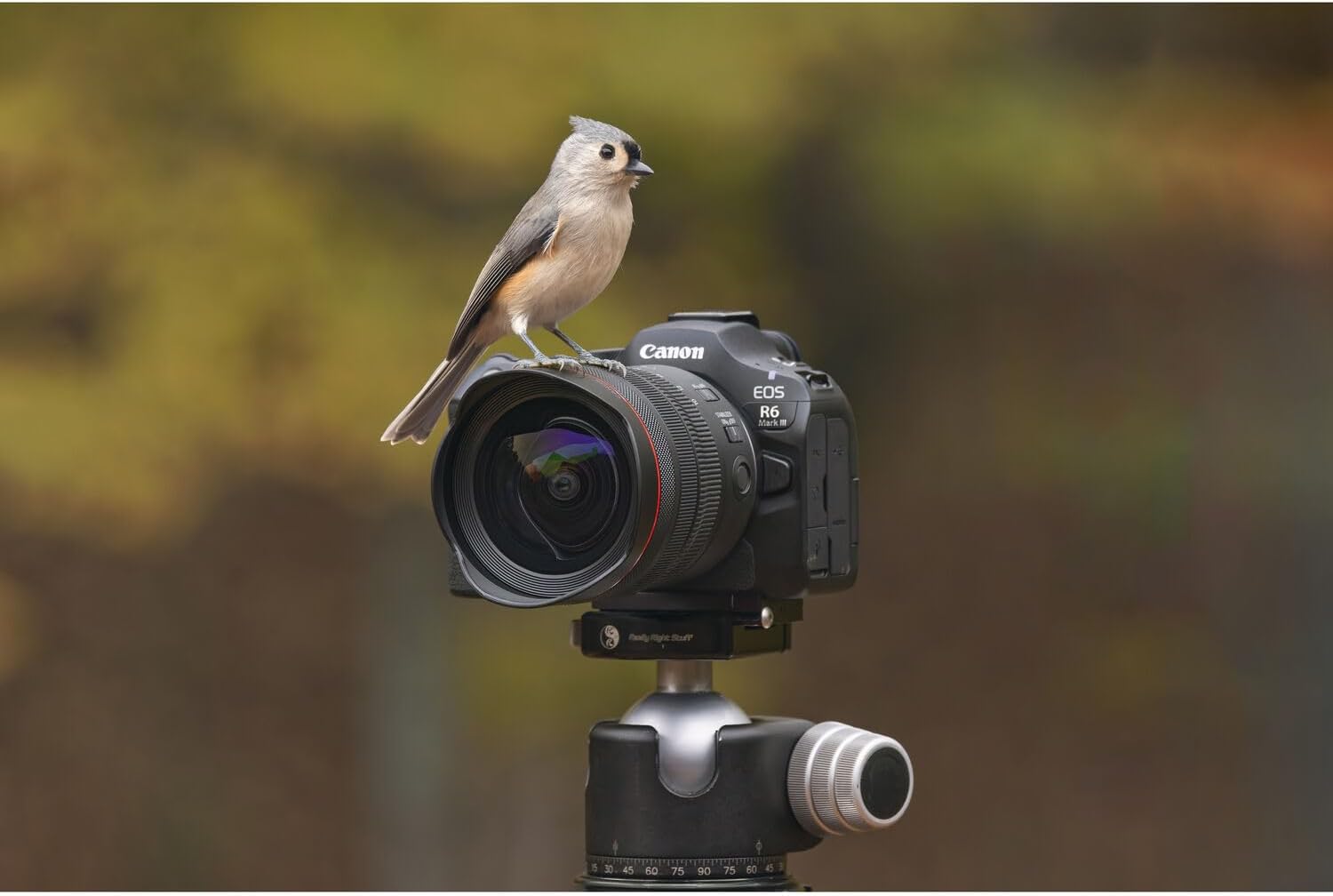 Canon EOS R6 Mark III Mirrorless Camera with RF 24-70mm f/2.8L is USM Lens & Extra Canon LP-E6P Battery