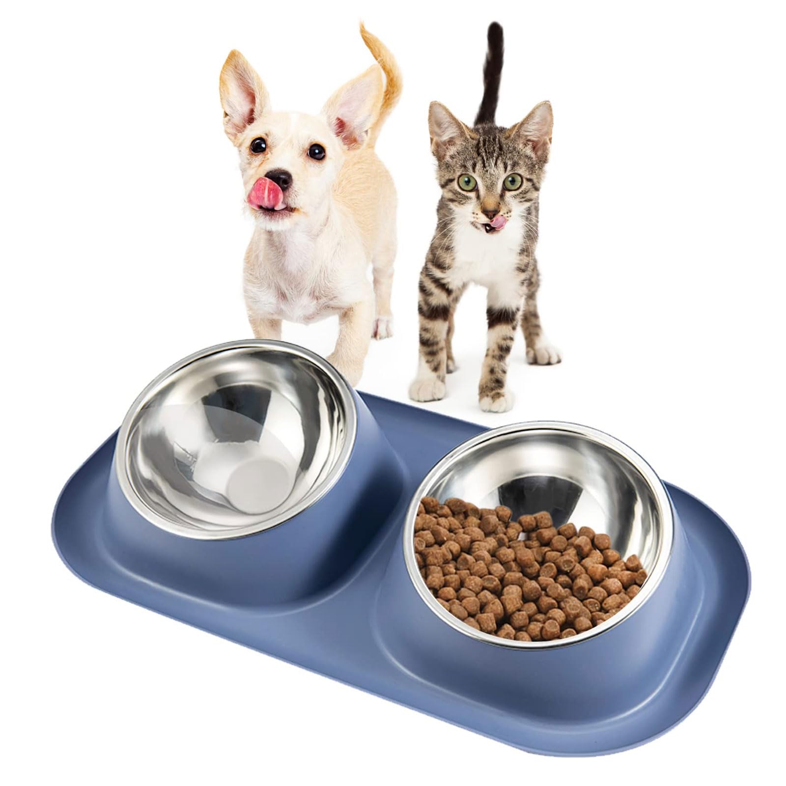 Double gamelle en acier inoxydable surélevée pour petit chien et chat - Bleu