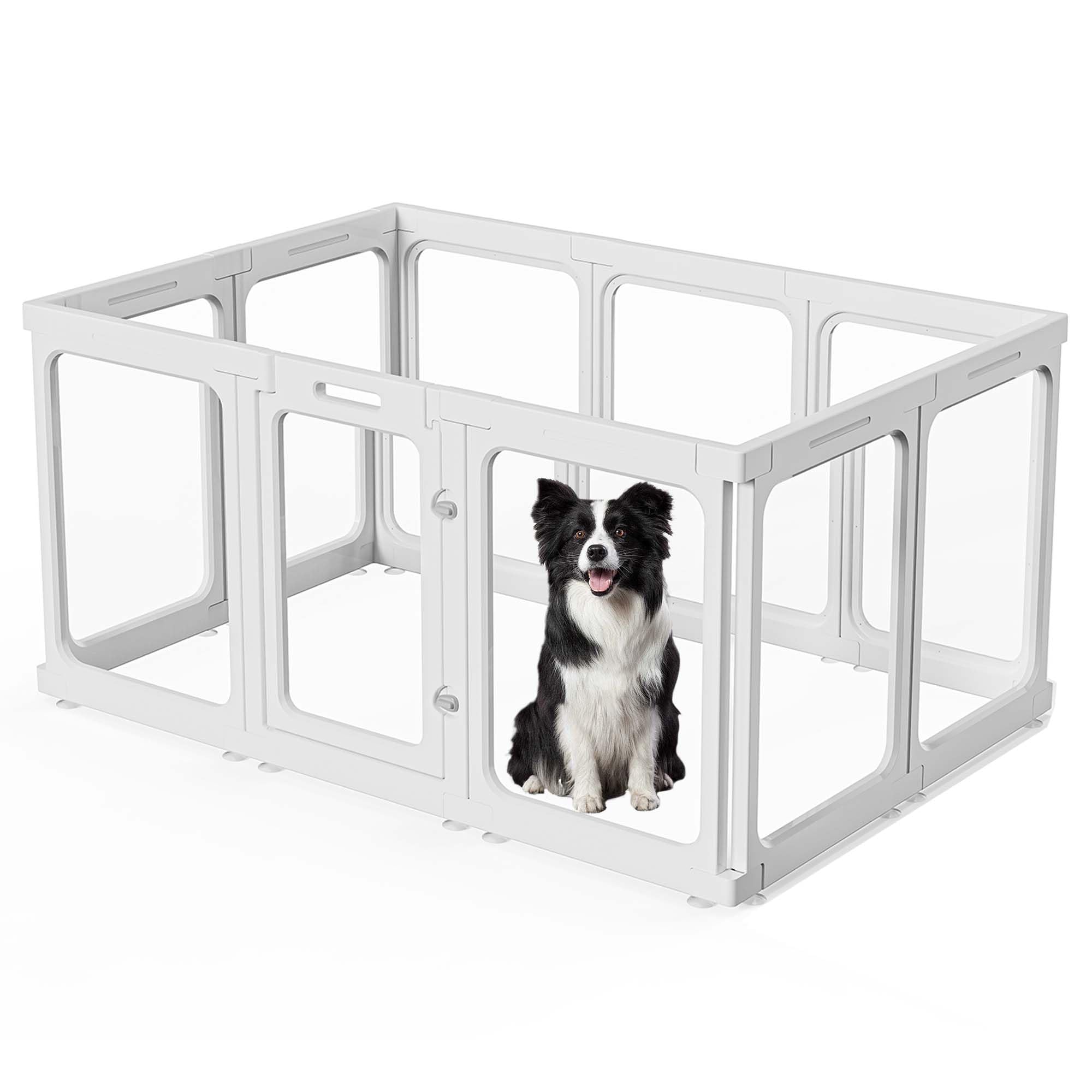 Transparante hondenbox voor binnen met deur puppy/kat/kleine