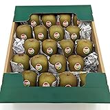 静岡産 レインボーレッドキウイ 中箱 (中玉~大玉 約14~21個入) 「北海道・沖縄は送料+1100円」 キウイフルーツ キュウイ レインボーキウイ 果物