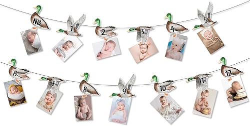 Cartel de fotos de 1er cumpleaños de pato mallardo, cartel con imagen temática de pato de recién nacido a 12 meses, registro de crecimiento,