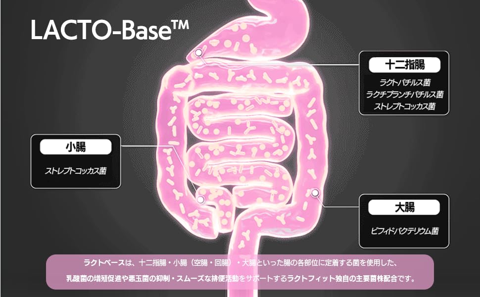 菌活倶楽部　ダイエットサプリ　2箱60包入り 菌活倶楽部LCHについて | 菌活倶楽部LCH