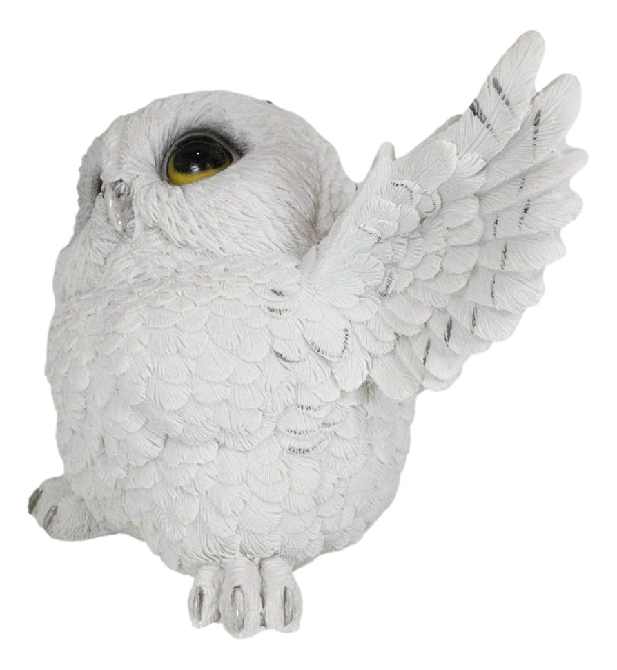 フクロウコレクション全5羽 楽天市場】ミニチュアドール ちいさな ふくろう 5羽セット