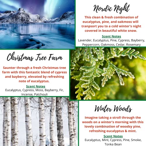 Kermode-Christmas-Wax-Melts-6-Amazing-Winter-Scents-for-Christmas-Wax-Warmer-36-Holiday-Scented-Wax-Cubes-Soy-Wax-Blend-15-oz Kermode Christmas Wax Melts 6 Amazing Winter Scents for Christmas Wax Warmer 36 Holiday Scented Wax Cubes Soy Wax Blend 15 oz