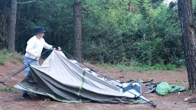 レビュー高評価の商品 収納袋付き 耐水圧3000cm ワンタッチテント防風 Ridge Timber テント タープ Damcosoft Com レビュー高評価の商品 収納袋付き 耐水圧3000cm ワンタッチテント防風 Ridge Timber テント タープ Damcosoft Com