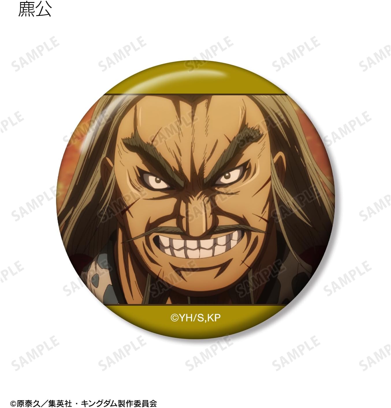 Anime Kingdom Trading Scene Tin Badges Box of 14