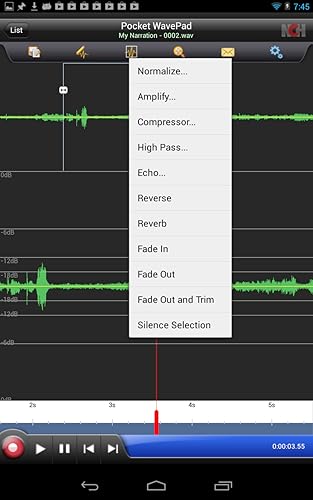 WavePad Master's Edition