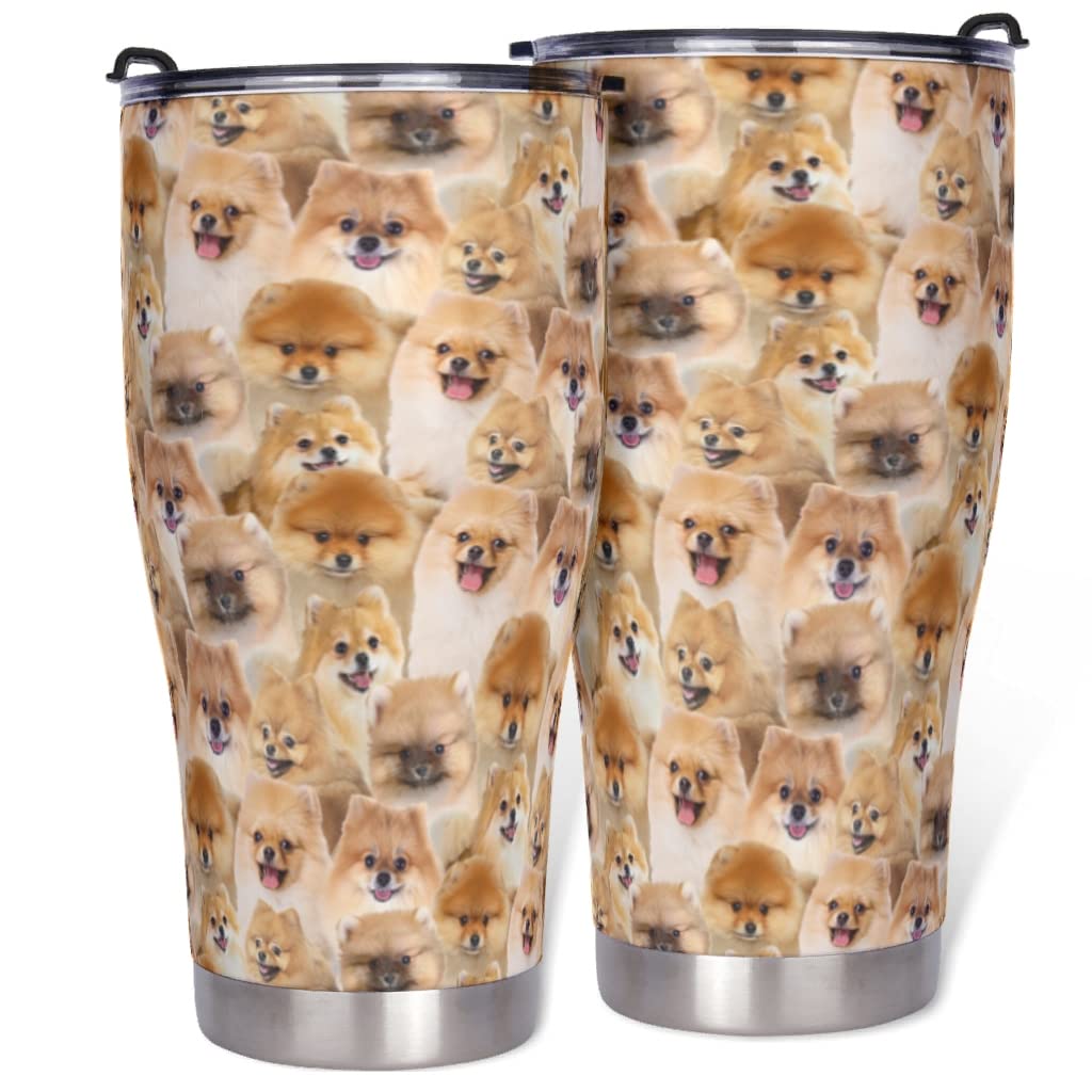 hfrhkudl Tumbler Pomeranian Stainless Steel Coffee Cup with Splash Proof Sliding Lid Leak Proof Travel Tumbler Hot Cold Thermal Cup Tea Wine Glass for Camping Traveling Multicolor 900ml(30oz)