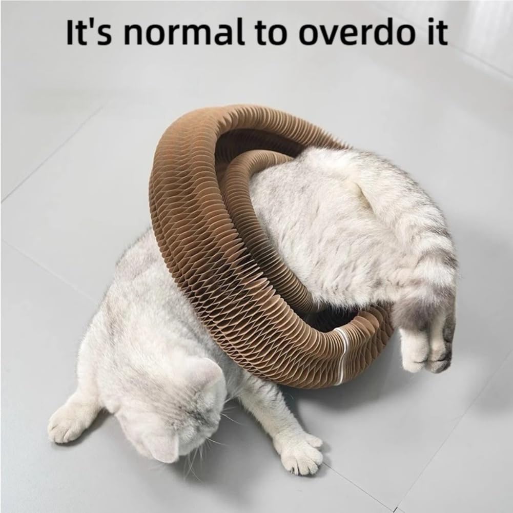 CocoGato Rascador Flexible, 360°Spiral Track, 4 In1 CocoGato Cat