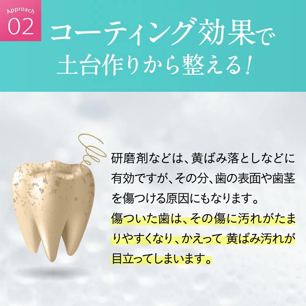 シロッシュ歯磨き粉2個セットオーラルケア