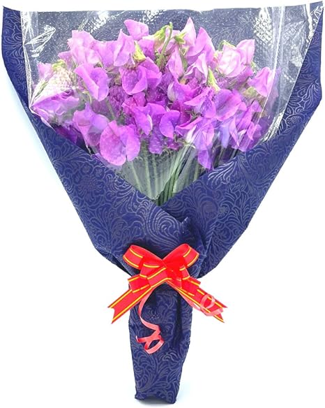 Amazon Lovekazu 花 生花 花束 プレゼント 切り花 スイートピー 香り ギフト お祝い 記念日 誕生日 M50本 淡紫 花束 オンライン通販