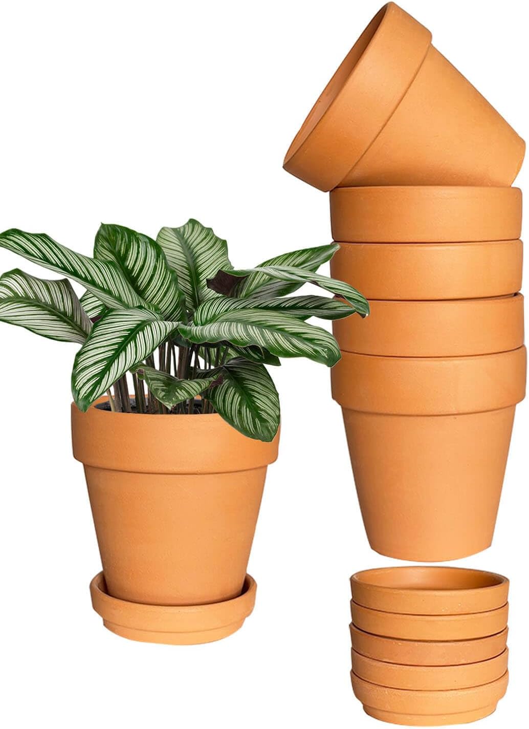 5 Inch Terracotta & Clay Plant Pots with Drainage Hole and Saucer- 6 Pack Small Terra Cotta Pots for Indoor Outdoor Plants, Breathable Unglazed Classic Planter Pots for Succulents, Herbs, Flowers