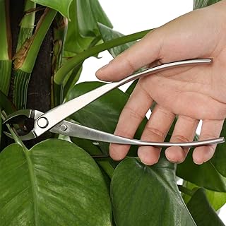 VINGVO Bonsai Tools — Cortador de bonsai com borda de cocave, aço inoxidável, cortador de galhos de bonsai, para casa de flores