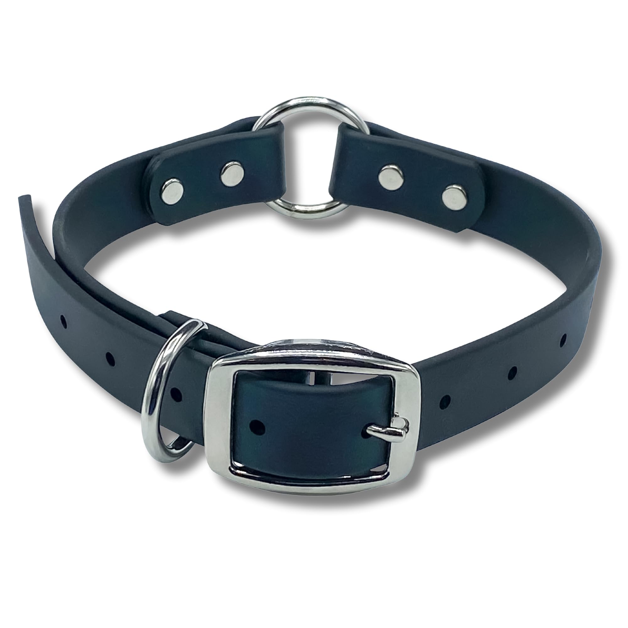 Jim Hodges Dog Training O Ring Flat Buckle Biothane Collar
