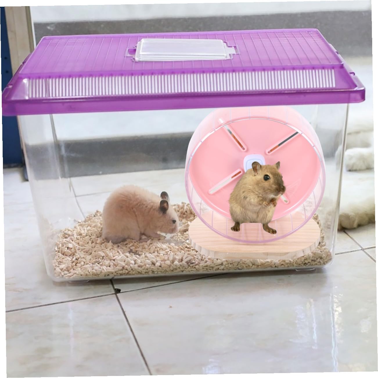 ERINGOGO 1ensemble Roue Silencieuse pour Hamster Et Petits Rongeurs avec Support Stable Idéale pour Chinchilla Écureuil Et Hérisson Accessoire De Jeu Amusant pour Animaux De Compagnie