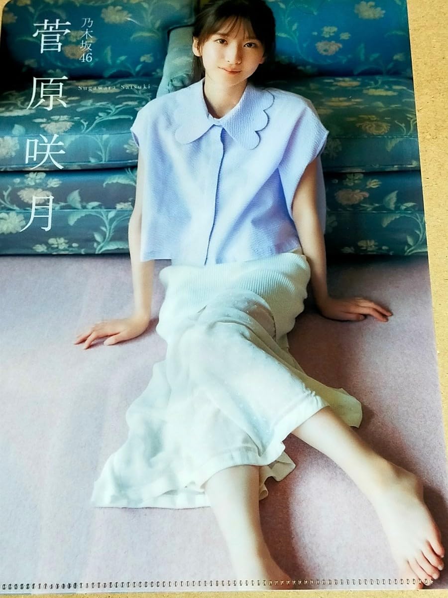 Amazon.co.jp: K4 乃木坂46 菅原咲月 両面クリアファイル EX大衆