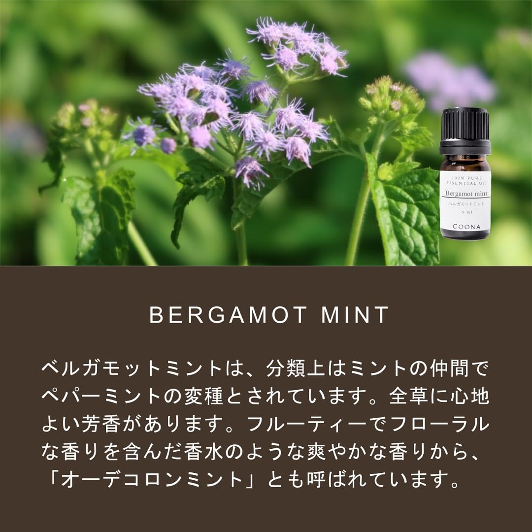 Amazon.co.jp: ベルガモットミント 5 ml (COONA エッセンシャルオイル