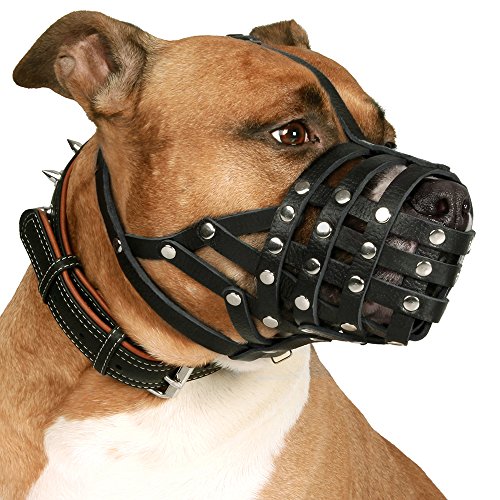Collardirect Pitbull Dog Muzzle Leather Amstaff Muzzles Staffordshire Terrier Secure Basket (Black) #TOP4