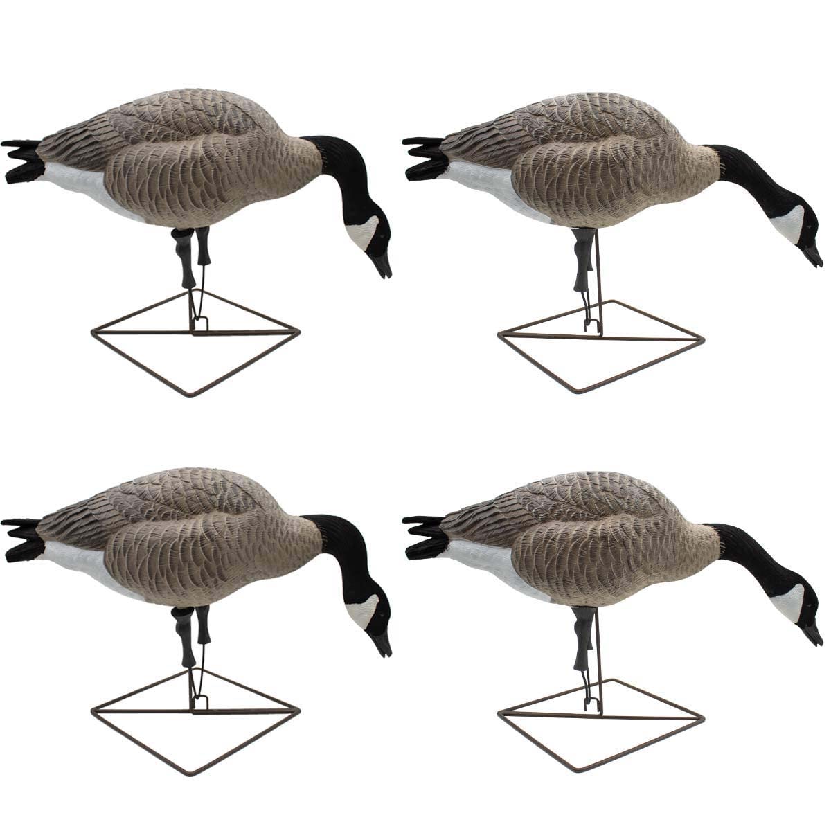 Final Approach Live Full Body Feeder Honkers, Decoy 4 Pack in Gray