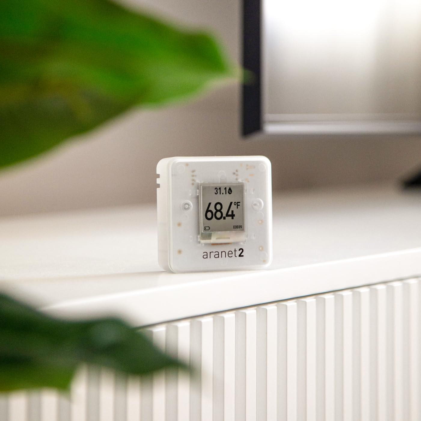 SAF Aranet2 Home: Intelligenter tragbarer Temperatur- und Feuchtigkeitsmonitor, Hygrometer mit langer Akkulaufzeit, App zur Datenverfolgung in Wohnungen, Büros, Kindergärten, Kunsterhaltung