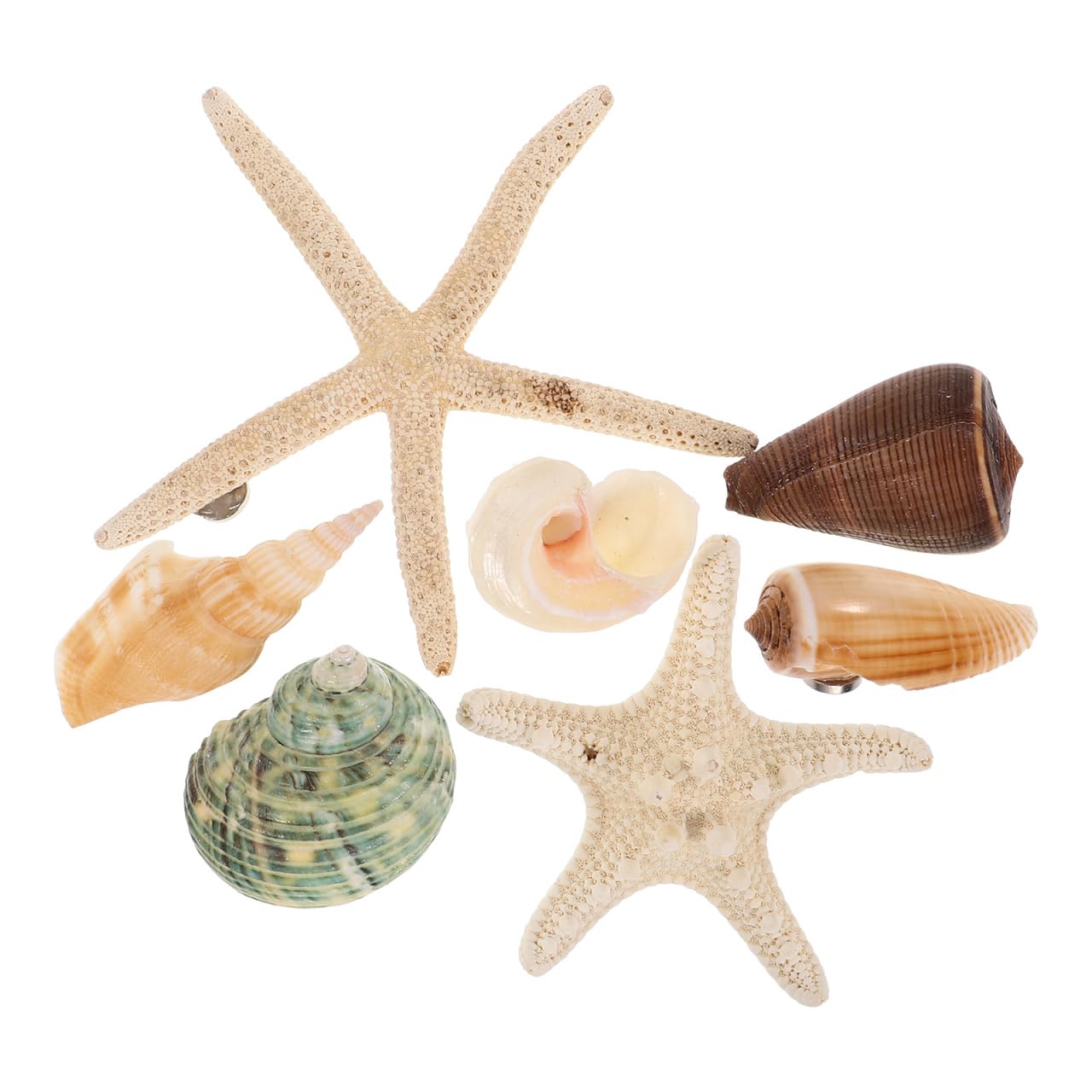Aimants de réfrigérateur coquillages pour créer une déco de bord de mer à la maison