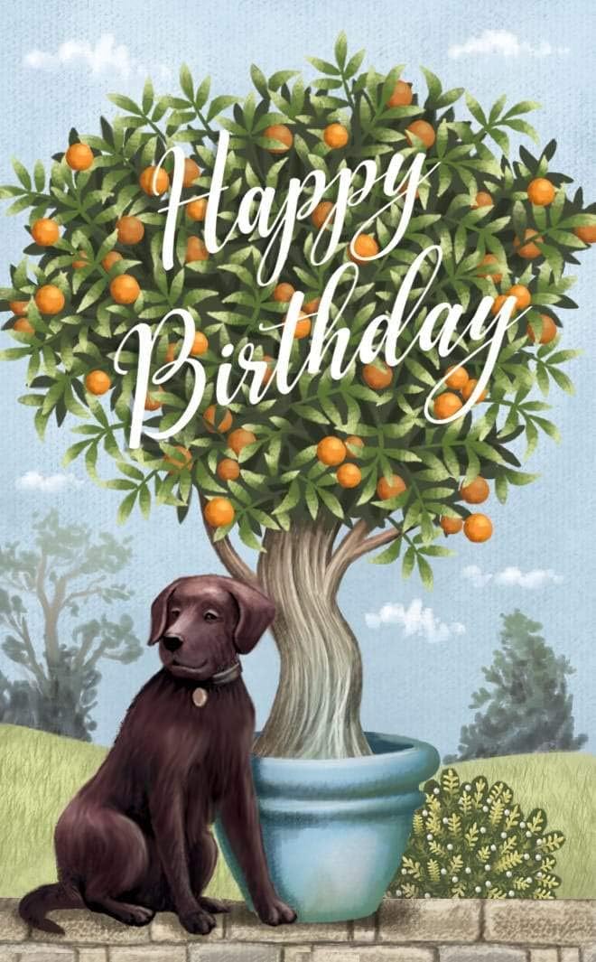The Glasshouse Happy Birthday 3D Pop-Up Greetings Card with Large Message Tag, grey|silver - Image 4