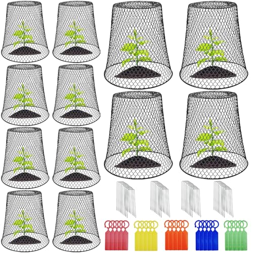 12Pcs Chicken Wire Cloche Plant Protector Cover,23x23cm Black Durable Garden Cloches Dome for Plants,Metal Netting Plant Protectors from Animals for Keeping Bunnies Chicken Squirrels Birds Other Out